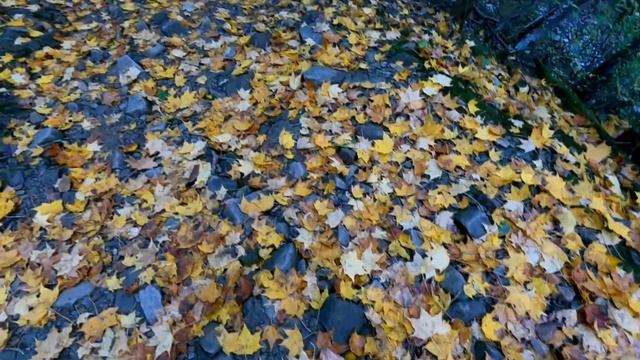 Гебиусские водопады вблизи Геленджика, октябрь 2022. Восторг от атмосферы. Часть 1. смотреть онлайн