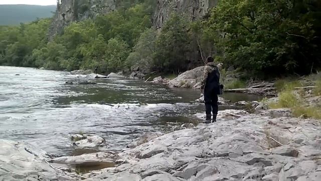 Рыбалка на р.Кема на симу и горбушу. смотреть онлайн