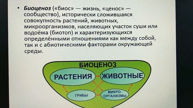 Тема 1.2. Популяции, сообщества, экосистемы смотреть онлайн
