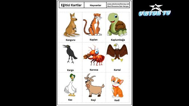 Турецкий язык прямо из Турции, тема Животные смотреть онлайн