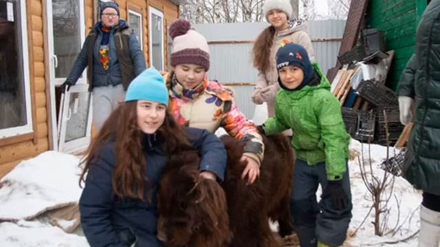 Семейное волонтерство в приюте для животных "Элина" смотреть онлайн