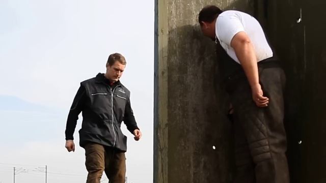 Ludvig, The Famous Chihauhau