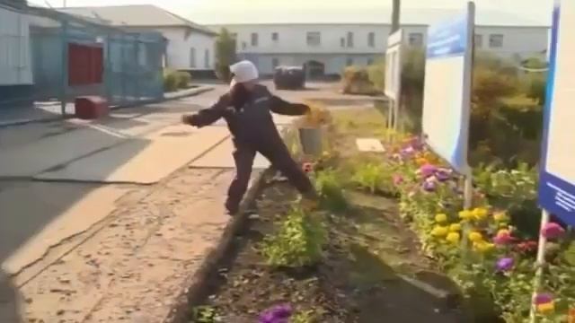 "ЯГОДЫ ШИПОВНИКА" гр СИБИРЬ смотреть онлайн