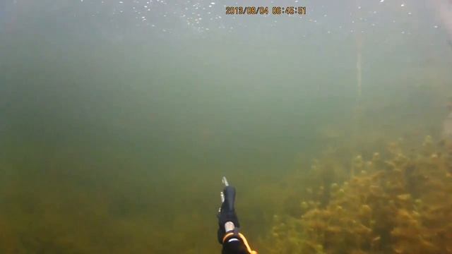 Подводная охота оз. Зункарь. Spearfishing. The lake is Zunkar. смотреть онлайн