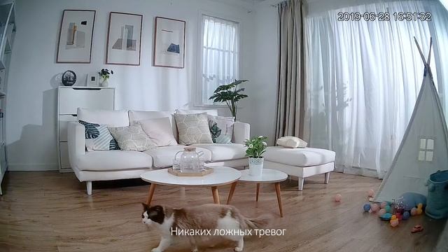 Камера видеонаблюдения IMOU Ranger 2 смотреть онлайн