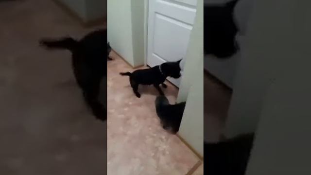 Бокс смотреть онлайн