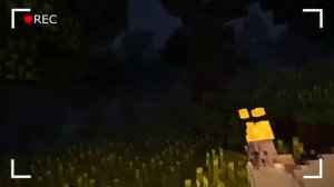 Линч-японский лес призраков все серии