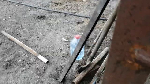 Вольер для кабанов. Строительство загона для диких кабанов смотреть онлайн