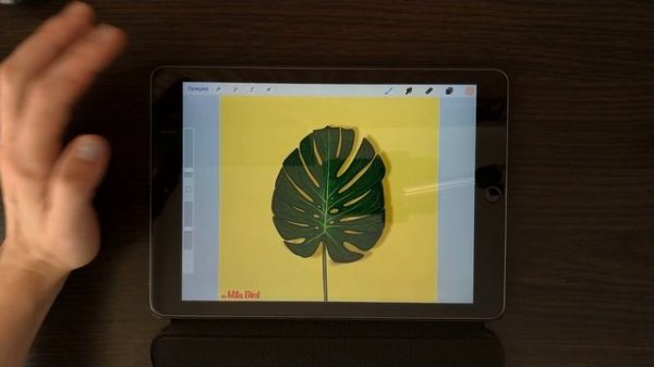 #Procreate  #procreateapp Урок 5. Форматы файлов в Procreate .