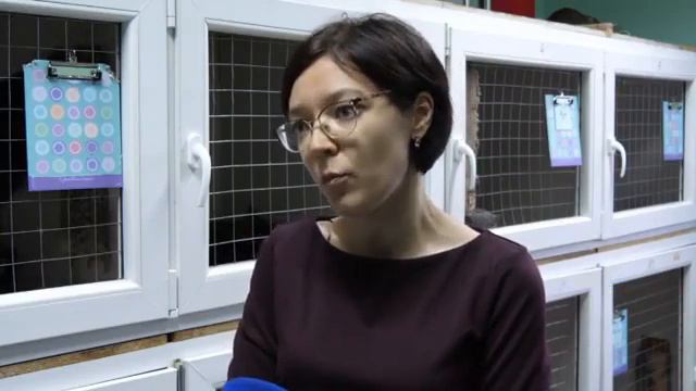 Уроки Доброты. смотреть онлайн
