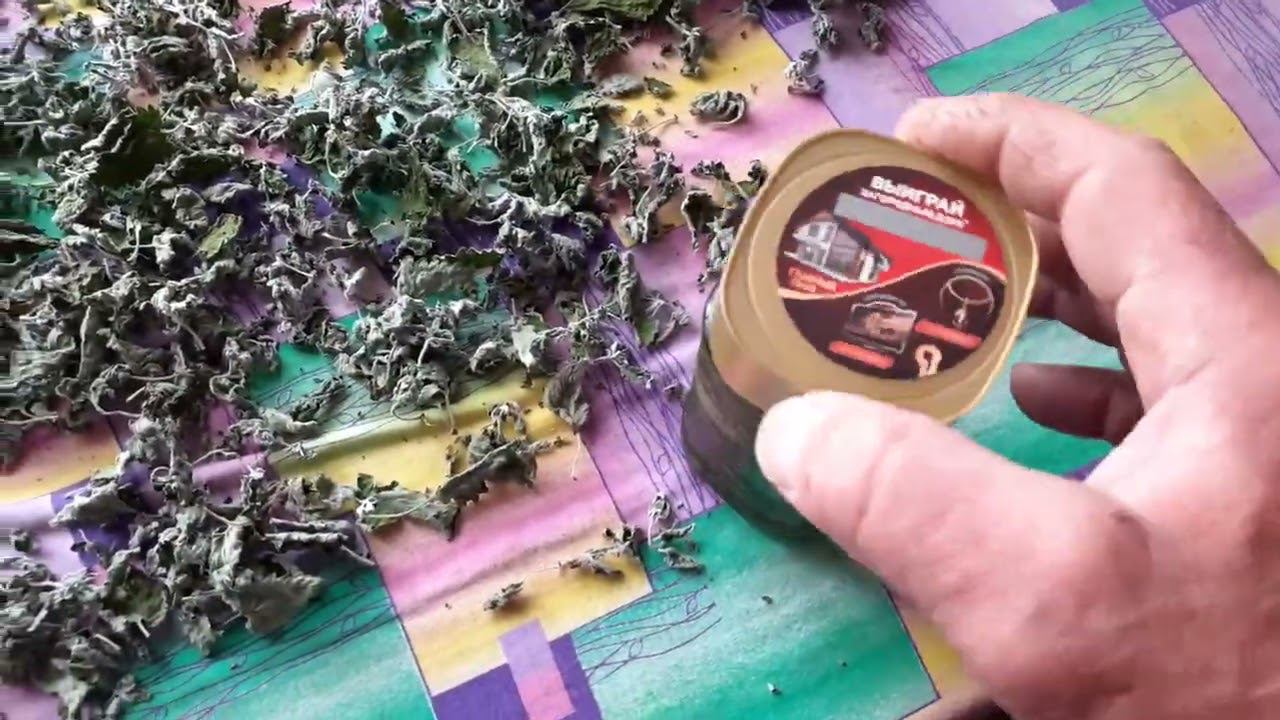 заготавливаем мяту. два способа. смотреть онлайн