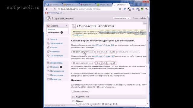 Два сайта на одном движке WordPress смотреть онлайн