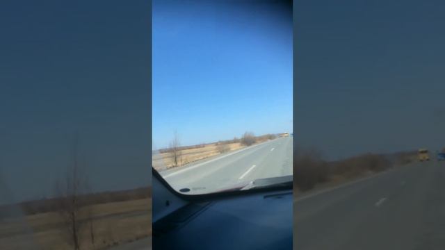 Трасса Вагай-Тобольск смотреть онлайн