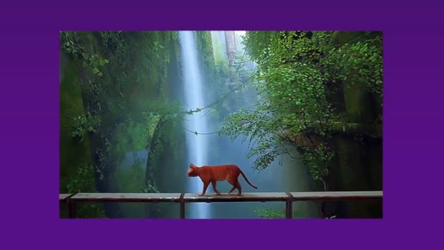 Рыжий кот. смотреть онлайн