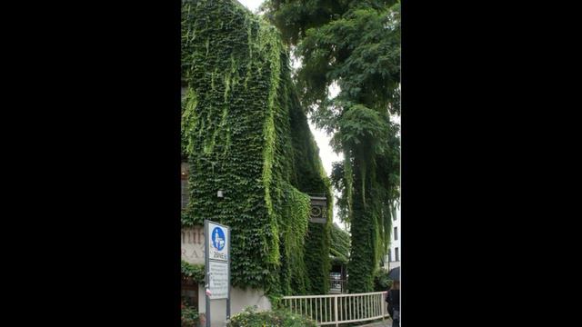 Мюнхен. Германия. ч.2 смотреть онлайн