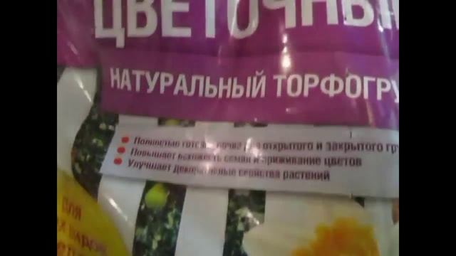 "Амариллис/Гиппеаструм-4. Марганец, сушка, пересадка! Размножение!" смотреть онлайн