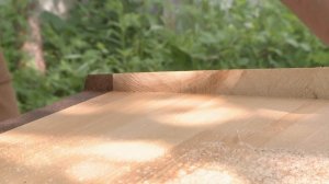 ФАЗЕНДА ЛАЙФ. ГОСТИНАЯ «АЛЬТАМИРА». ВЕДУЩИЙ – ТИМОФЕЙ ПРОНЬКИН. ДИЗАЙНЕР – СВЕТЛАНА ИЛЬИНА