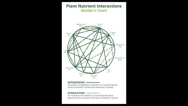 ГЛУПЫЕ вопросы и заблуждения об удобрениях для АКВАРИУМНЫХ РАСТЕНИЙ смотреть онлайн
