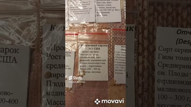 ОБЗОР КАРЛИКОВЫХ ТОМАТОВ НА 2023Г. ОГОРОД НА КУБАНИ. shorts# смотреть онлайн