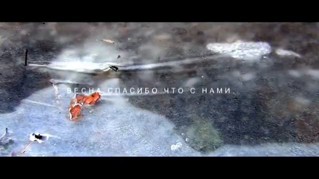 ВИДЕОПОЭЗИЯ.автор стихов-АЛЕКСАНДРА АРДОВА. режиссёр-СЕРГЕЙ ФЕДОНИН смотреть онлайн