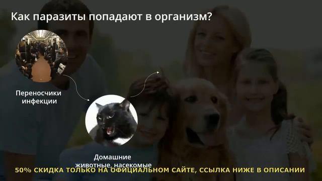 Detoxic средство от паразитов отзывы, обзор детоксик лекарство от глистов, цена, купить