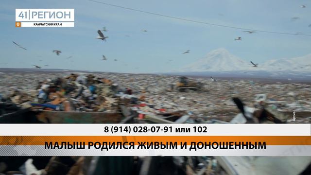 РЕБЁНОК, ТРУП КОТОРОГО БЫЛ НАЙДЕН НА СВАЛКЕ, РОДИЛСЯ ЖИВЫМ • НОВОСТИ КАМЧАТКИ смотреть онлайн