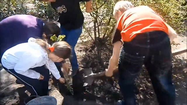 Сирень Победы смотреть онлайн