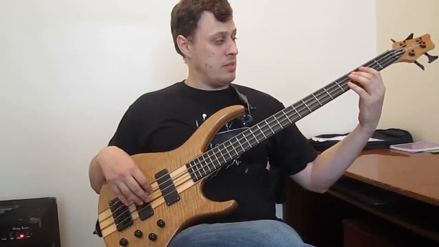 Уроки игры на бас гитаре. Урок № 2 (Септаккорды, секвенции) смотреть онлайн