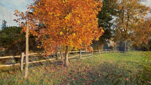 2 октября Трофимов день. Лакомый стол. Народные запреты, приметы, традиции и обряды. смотреть онлайн