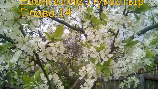 Лука 14 Luke 14 смотреть онлайн