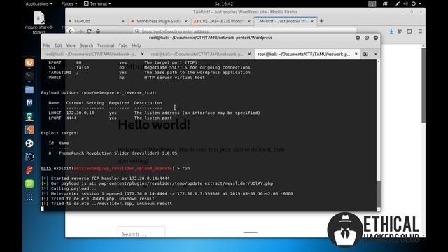 TAMUctf 2019 Network/Pentest "Wordpress" Challenge Writeup смотреть онлайн