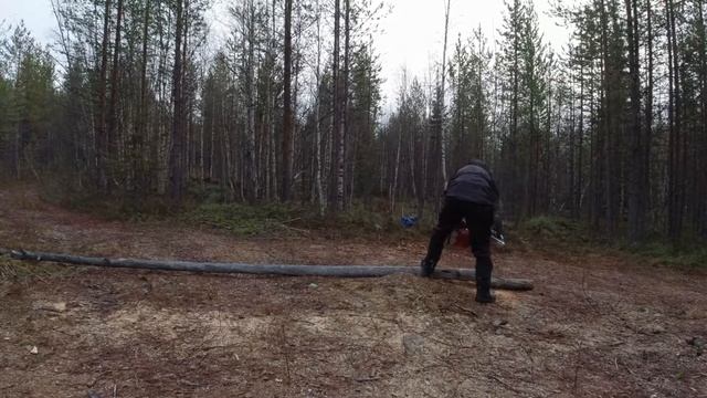 ВЫЕЗД НА БАЛАГАН / ГОТОВИМ СУП НА КОСТРЕ / ЗАГОТОВКА ДРОВ / ЧАСТЬ 5 смотреть онлайн