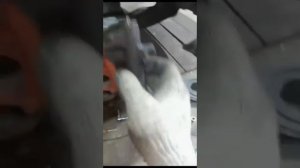 Замена грм Mitsubishi chariot 4G64 16V (Митсубиси чариот)