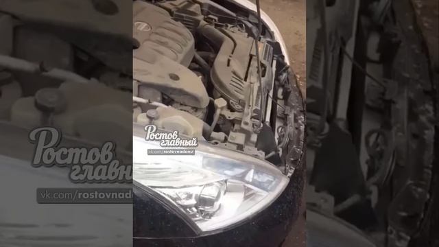 Спасение кота на Ашхабадской 27.12.2019 Ростов-на-Дону Главный смотреть онлайн