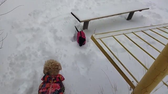 Первый снег! Ника это дед Мороз!? Джусик превратился в снеговика ⛄ смотреть онлайн