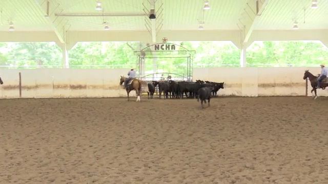 Bridget Anderson - Illinois Futurity 2016 - Sunday смотреть онлайн