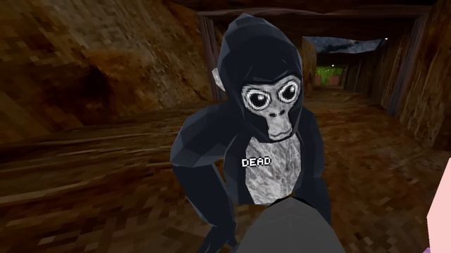 Ghost Hunting In Gorilla Tag Vr (oculus quest 2) смотреть онлайн