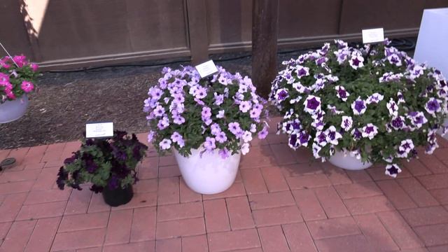 CAST 2021: Selecta One смотреть онлайн