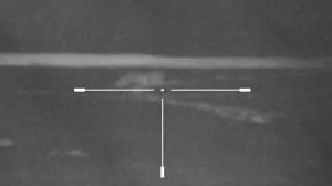 Охота на Лису у привады с калибром 22 WMR