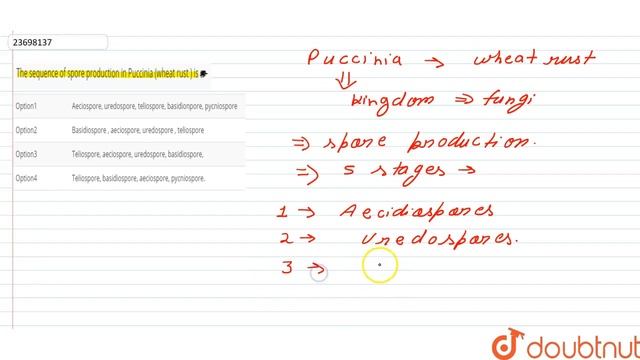 The sequence of spore production in Puccinia (wheat rust ) is n смотреть онлайн