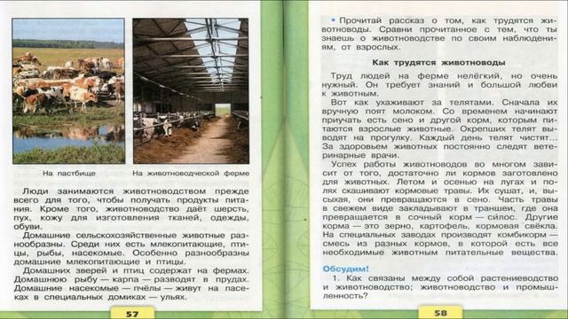 Животноводство. Окружающий мир. 3 класс, 2 часть. Учебник А. Плешаков стр. 56-59 смотреть онлайн