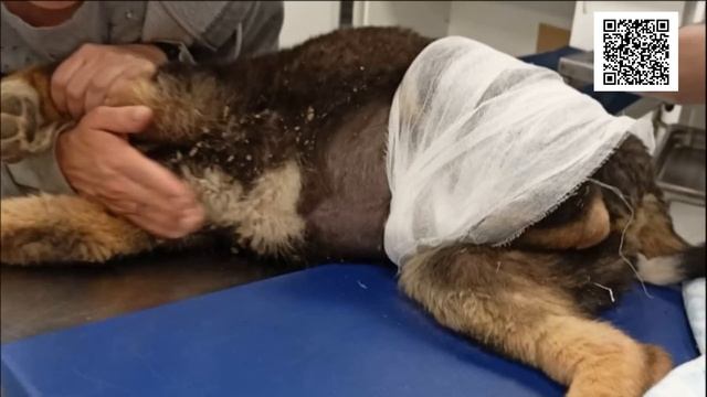 Ломая цепью кости/Breaking Bones With A Chain