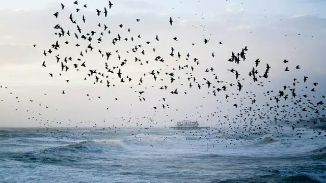 ОДИН ИЗ НИХ смотреть онлайн