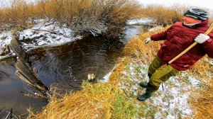 Рыбалка на паук! Рыбалка в закоряженном ручье! Караси-Монстры!!!