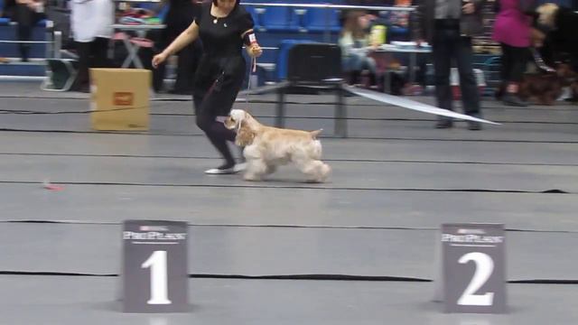 ШФЕ Чариса Даймонд судья Переведенцева смотреть онлайн