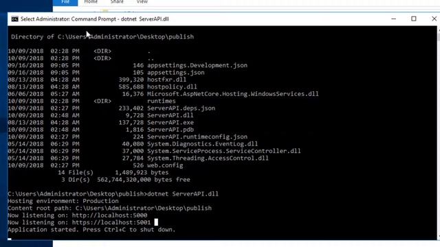 deploy asp dotnet core to all os windows mac linux with https ssl by bitnami nginx work 100% смотреть онлайн