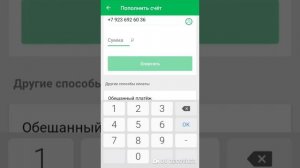 Пополнить баланс МегаФон без комиссий