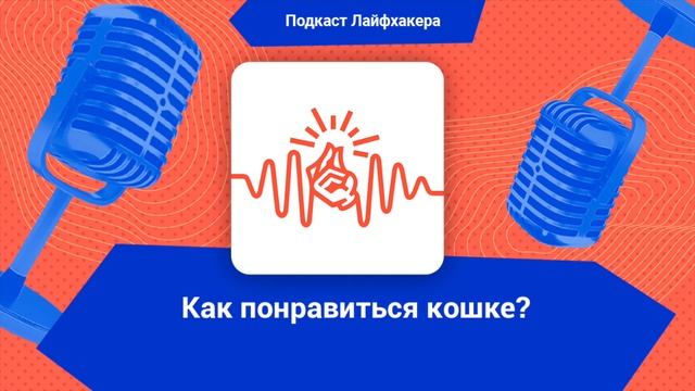 Как понравиться кошке?