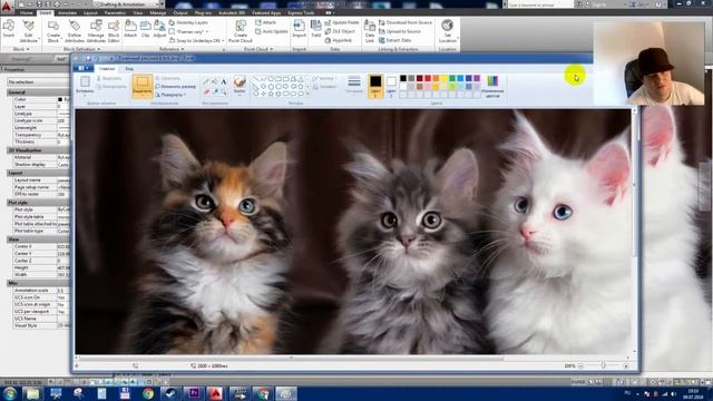 Вставить картинку в AUTOCAD через OLE OBJECTS смотреть онлайн