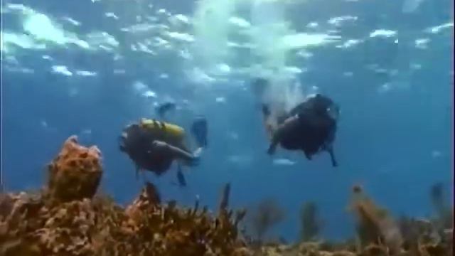 Бермудский треугольник 1996Bermuda Triangle смотреть онлайн